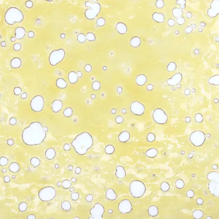 Blackberry Shatter Hybrid (house)