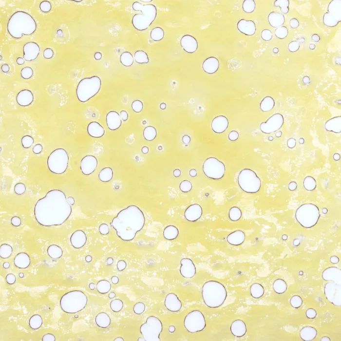Blackberry Shatter Hybrid (house)