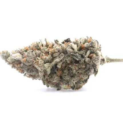 Mandarin Cookie AAAA+ - Living Soil Organics (Super Rare)