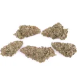 Mandarin Cookie AAAA+ - Living Soil Organics (Super Rare)