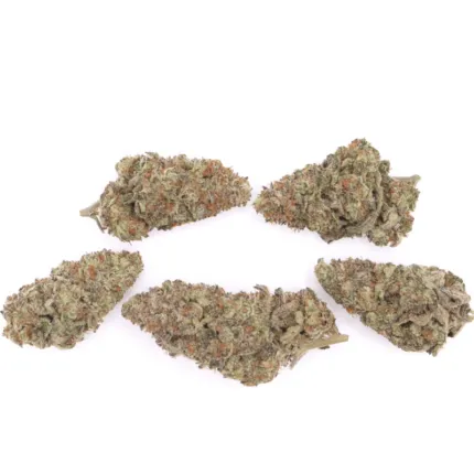 Mandarin Cookie AAAA+ - Living Soil Organics (Super Rare)