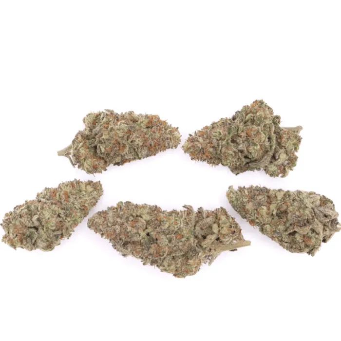 Mandarin Cookie AAAA+ - Living Soil Organics (Super Rare)