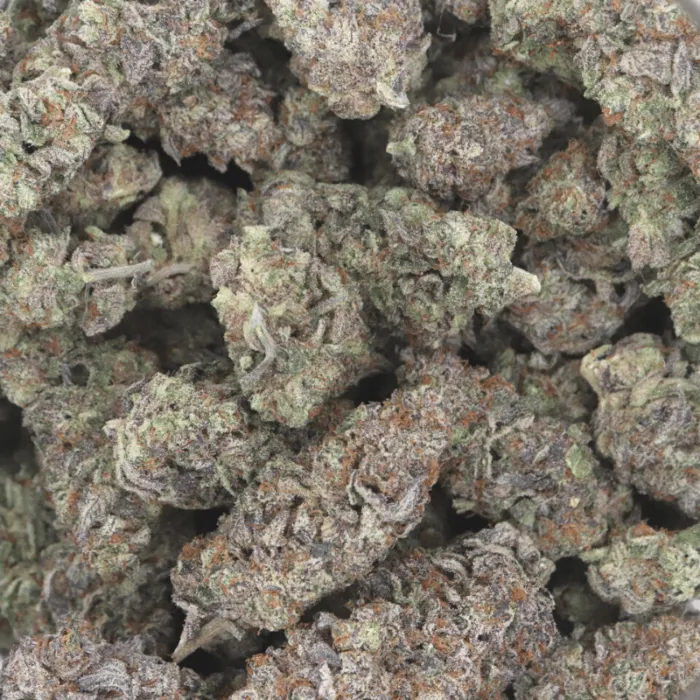 Mandarin Cookie AAAA+ - Living Soil Organics (Super Rare)