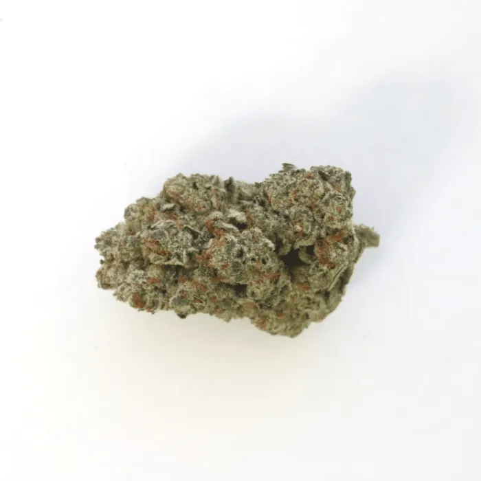 Slurricane AAAA - Living Soil Organics (Super Rare)