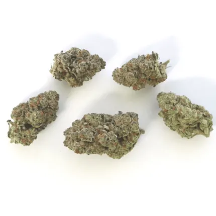 Slurricane AAAA - Living Soil Organics (Super Rare)