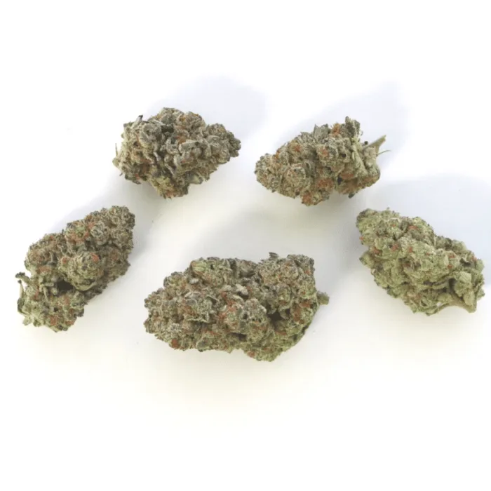 Slurricane AAAA - Living Soil Organics (Super Rare)