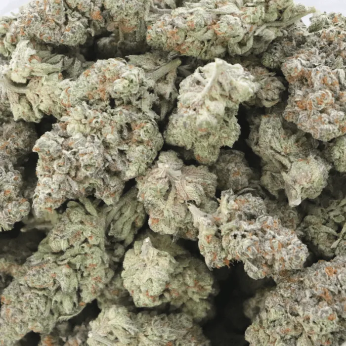 Slurricane AAAA - Living Soil Organics (Super Rare)