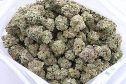Small/Med Buds - Stardawg AAA