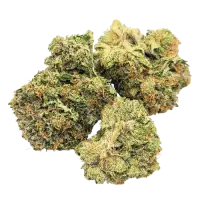 Cannabis