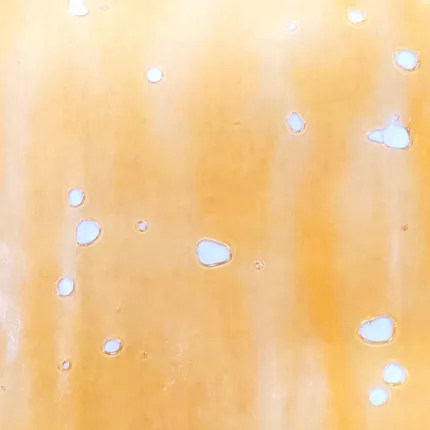 Jack Herer Shatter Sativa (house)