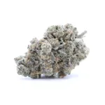 Mint Chocolate Chip AAAA+ - Living Soil Organics (Super Rare)