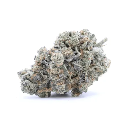 Mint Chocolate Chip AAAA+ - Living Soil Organics (Super Rare)