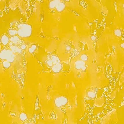 Pineapple Express Shatter Sativa (house)